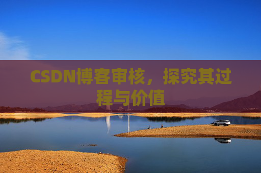 CSDN博客审核,探究其过程与价值